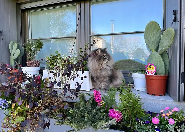 Apartment Ca' Antica Cristalleria *