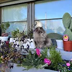 아파트 Ca' Antica Cristalleria *